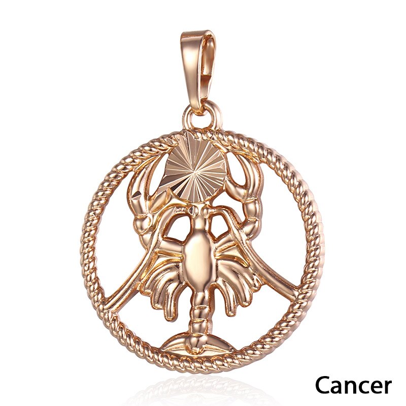 Zodiac Sign 12 Constellation Pendant Necklace for Women Men 585 Rose Gold Womens Necklace Mens Chain Gift Fashion Jewelry GPM21