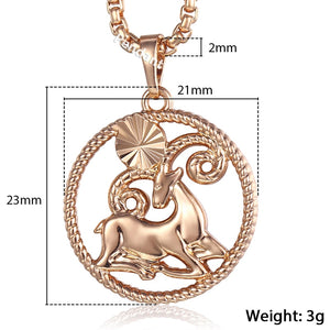 Zodiac Sign 12 Constellation Pendant Necklace for Women Men 585 Rose Gold Womens Necklace Mens Chain Gift Fashion Jewelry GPM21